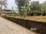 Aluva town 37cent plot cent 10lakh
