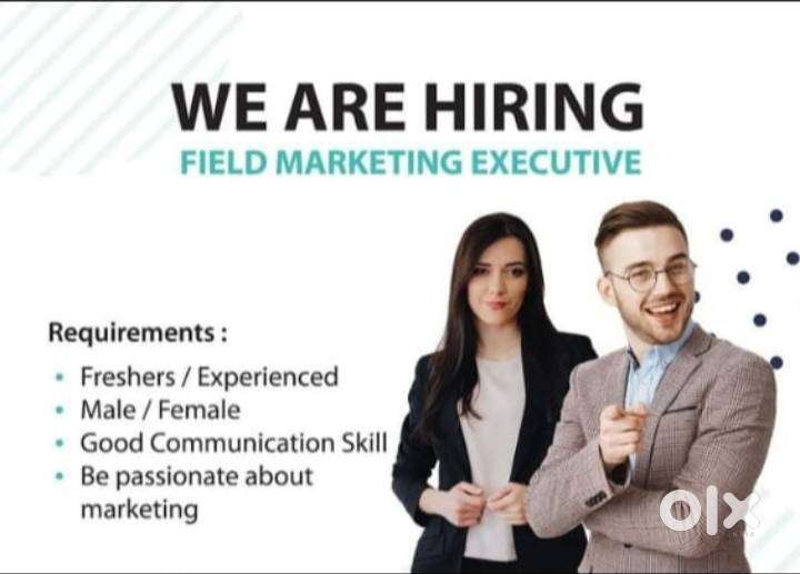 Field Survey Executive