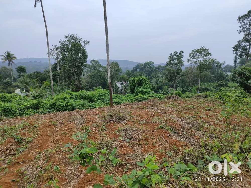 50 cents land for sale in Meenadam, Kottayam