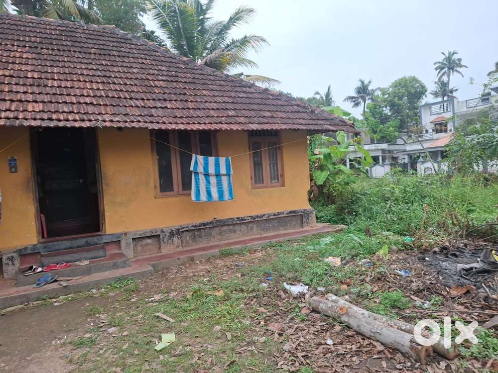 14 cent land for sale at Malikampeedika, Aluva Paravoor Road