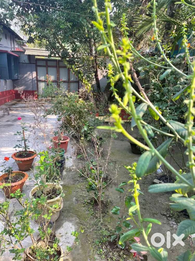 2 plots [ 1 plot with house 2.5 Katha/ 2 plot without house]