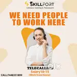 Female Telecalling Job  Work From Home  Salary up to ₹15,000