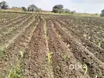 it is agricultural land