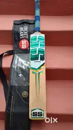 SS KASHMIR WILLOW Cricket bat