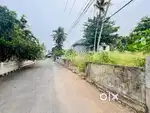 11 cent gated villa plot ( land ) for sale kakkanad