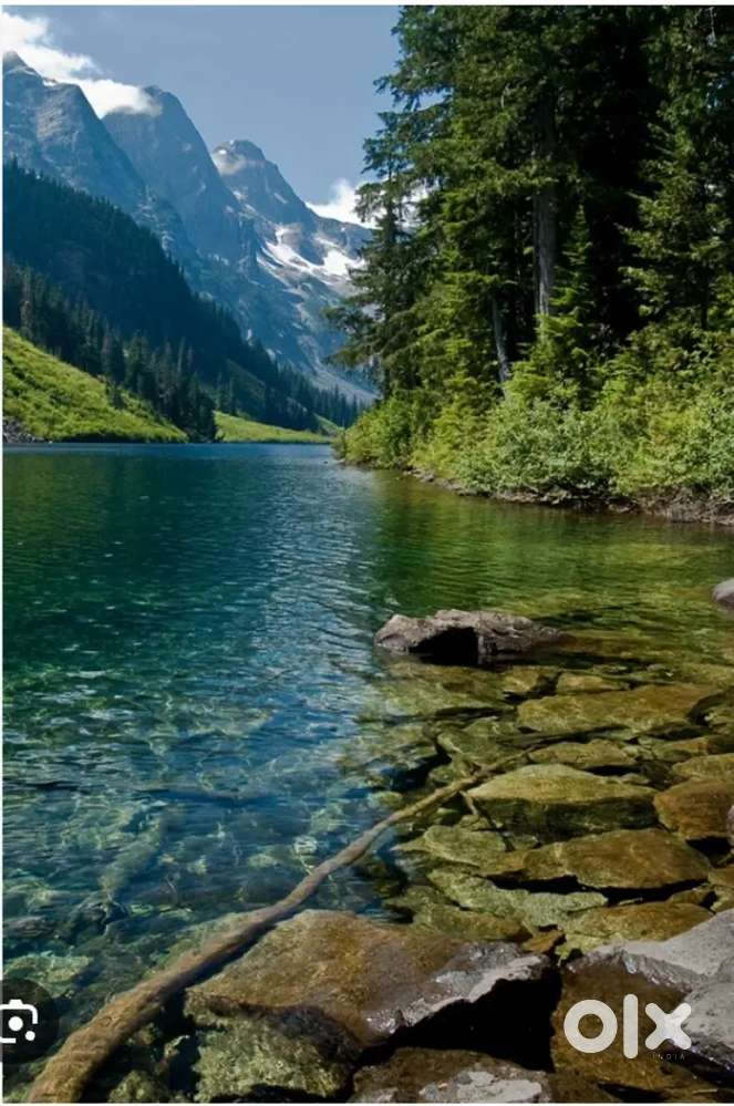 2BHK flat Aanandpuram face 1 Durga Nager kohla bhilai