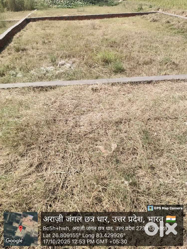 यह प्लॉट जंगल धुसढ चौराहे से 1.5 km अंदर हैं