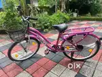 Almost new vector 91 Ladies bicycle, Hardly used , Excellent condition