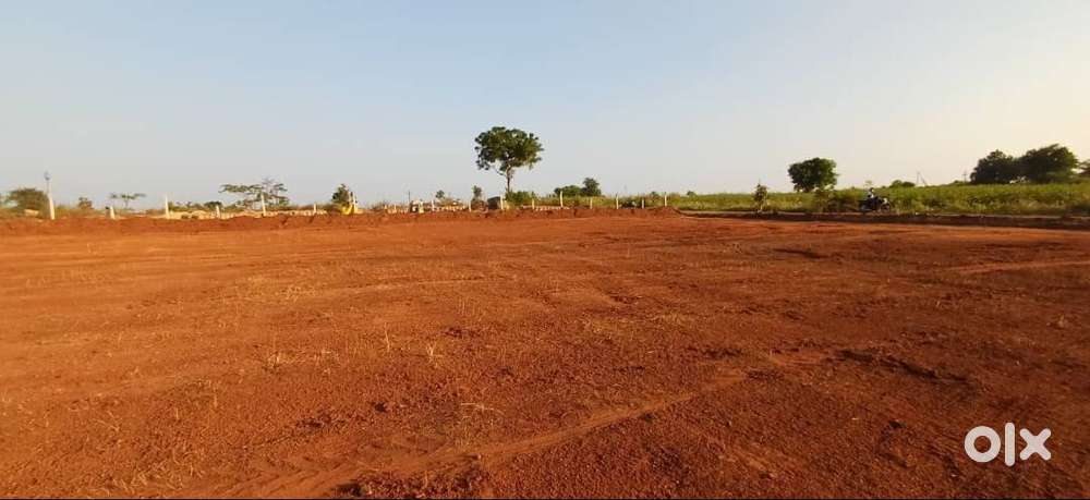 Clear Title,Verified with Old Record,10 Guntas for sale