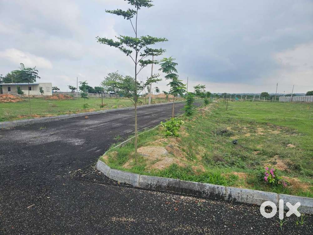 Business Development Managers / Executives