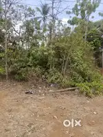 For Sale 500m2 plot in Jambavali, Qupem