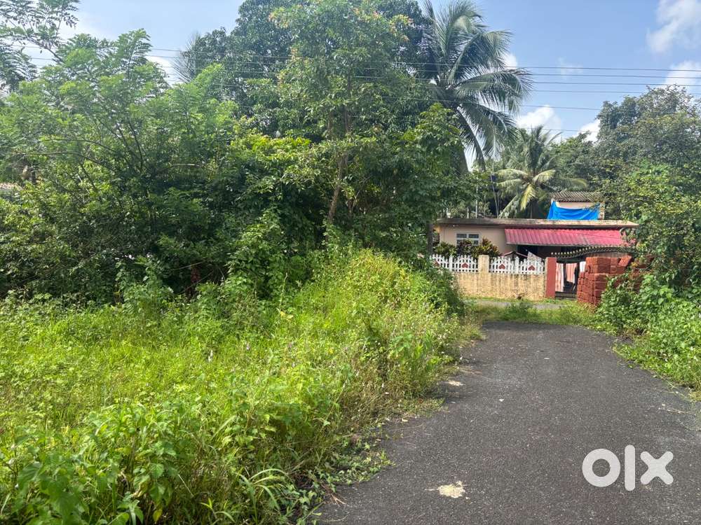 Plot with Dual Road Access for sale