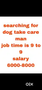 Dog take care and home take care