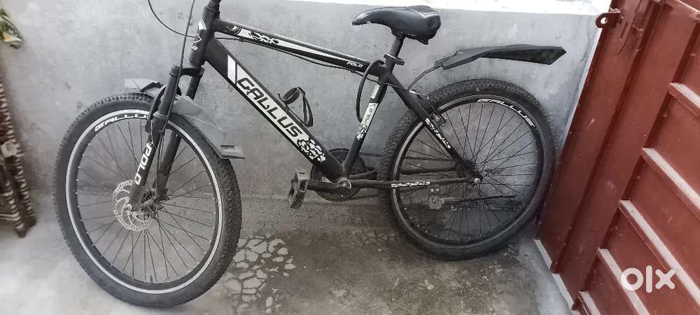 POLO Gallus cycle best condition