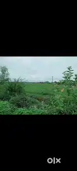 Prime 18 acre Rectangular land for sale - Main roadFacing