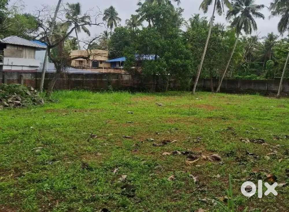 This is a 2 katha 5 chattak plot . ₹4.5 lakh per katha.