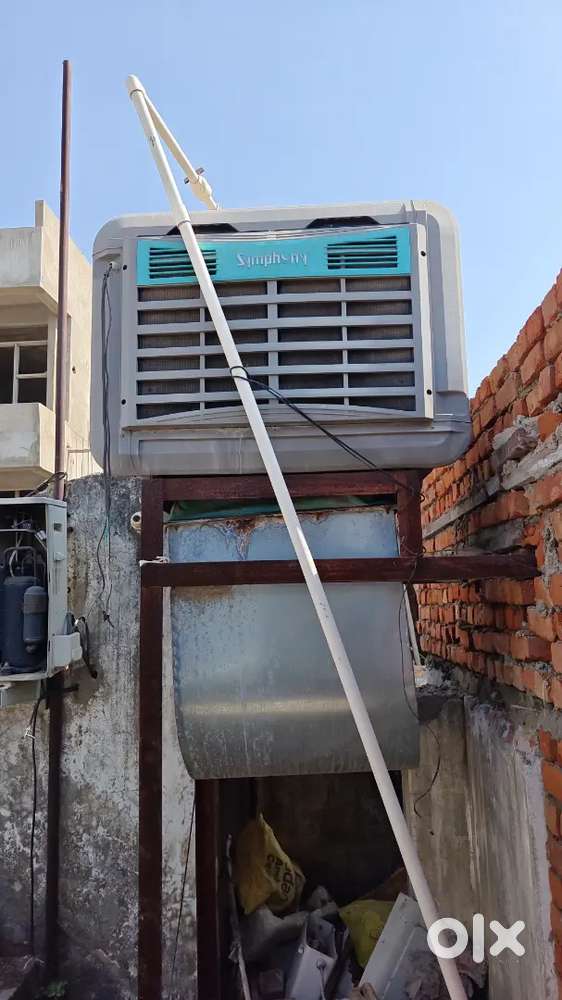 Symphony dating cooler