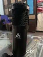 Audio array mic and interface