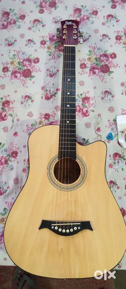 Acoustic guitar
