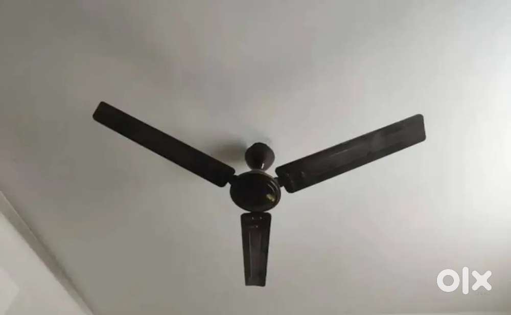Ceiling fan