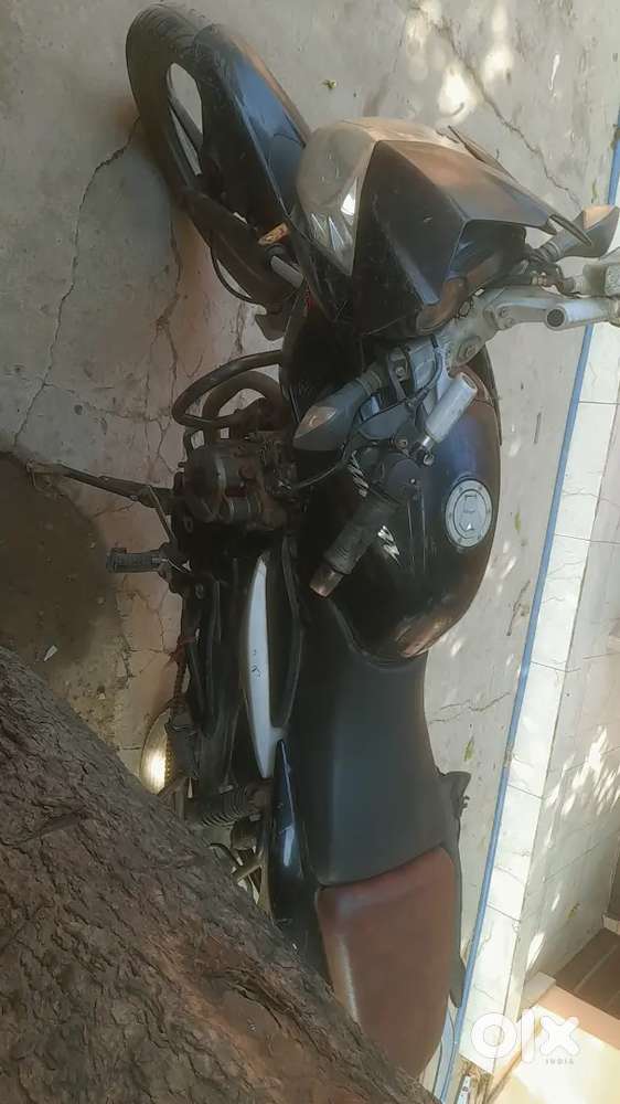PULSAR  BIKE
