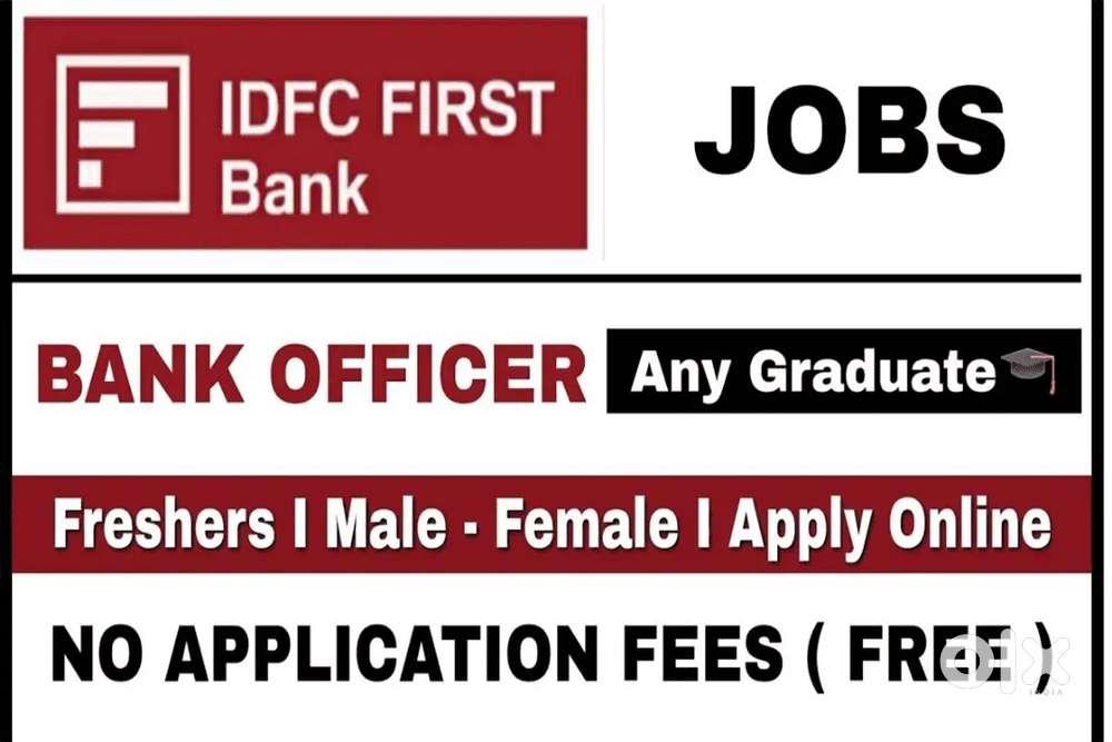 Business loan Sales Officer job
