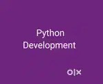 Python Web Developer
