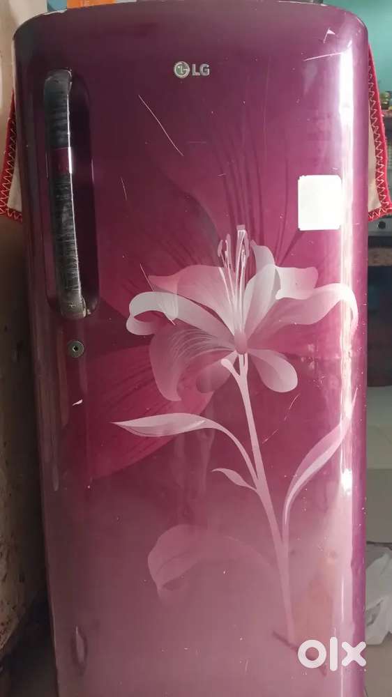 Lg single door fridge 2016 model