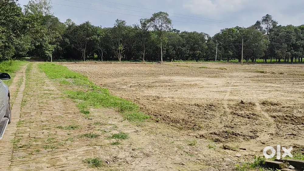 एग्रीकल्चर भूमि बिकाऊ है इस नवरात्रि में जरूर से खरीद सकते हैं