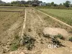 Best plot in low cost