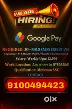 Field sales executive