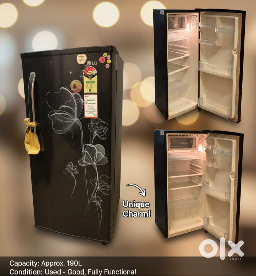 LG GL-B205KVHP 4 Star Direct Cool Single Door Refrigerator (190 ltr)