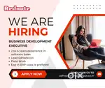 Business Development Executive