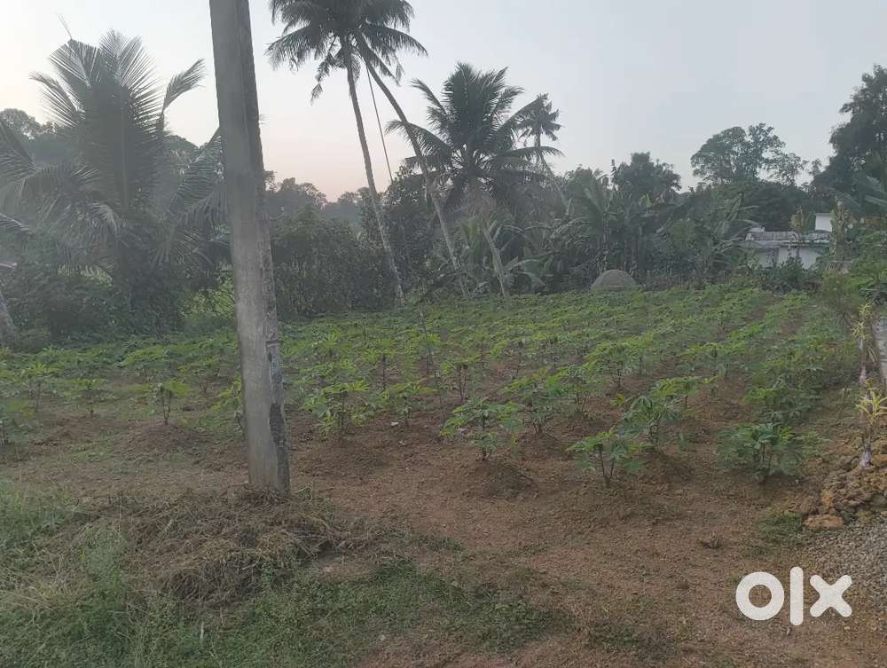 6 cent plot for sale