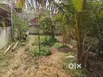 Own property Site for sale 29x20 width 50 length