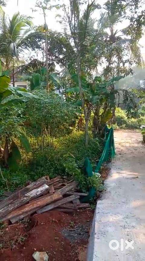 12 cent property two side road