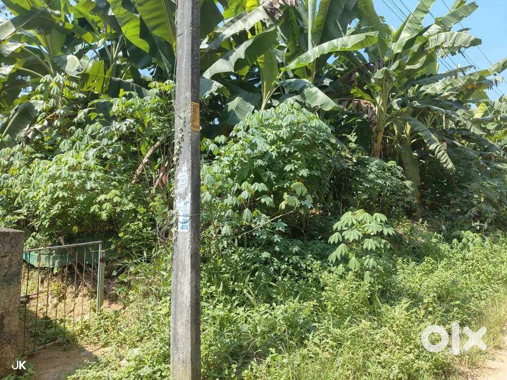 Road frontage 1 acre property