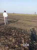 4.50C/एकड़