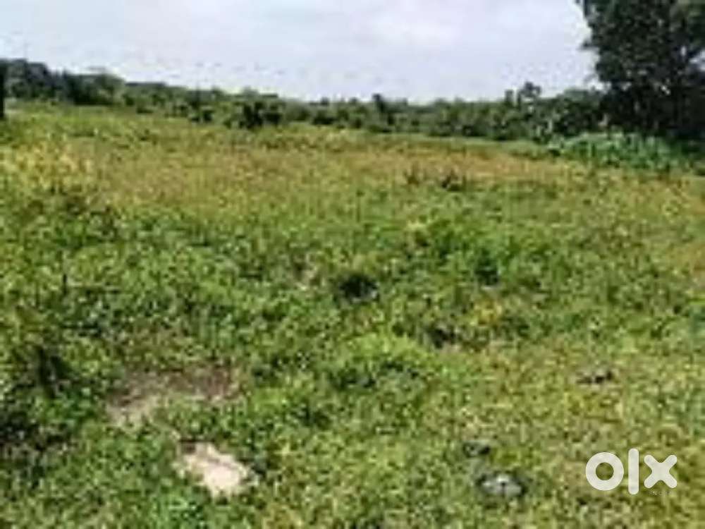 65 cents good  land for sale near udyavara highway to 1km