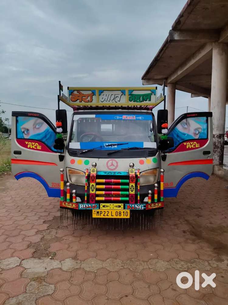 Owner 1 Bimma fitness new