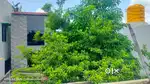 Indipendent house for urgent lease