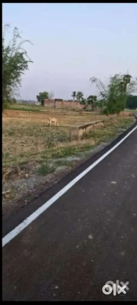 We are providing plots for building dream home as well as commercial