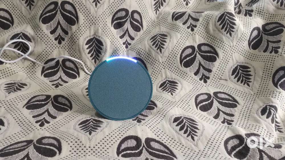 Alexa Echo Pop
