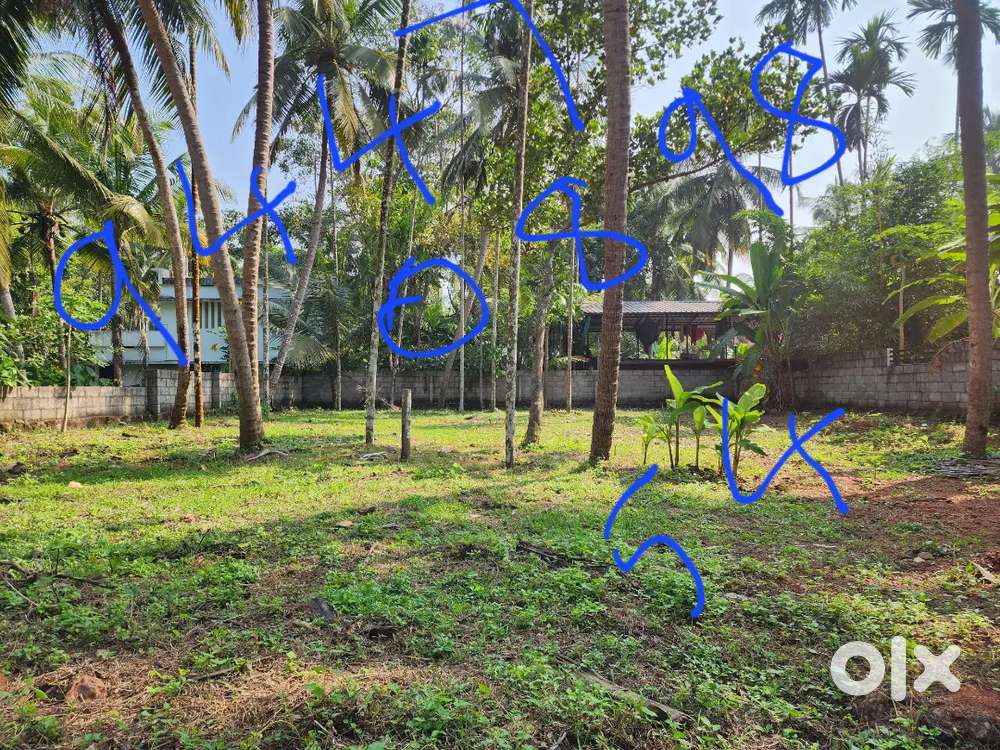 Urgent Sale near medical college calicut plot