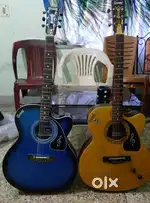 1 professional and 1 beginner  guitar