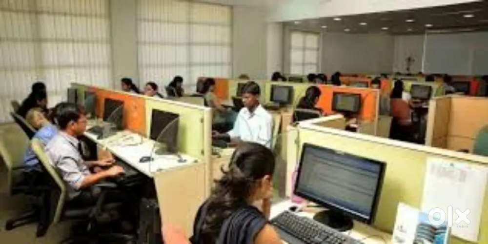 computer operator Back office staff urgent requirement
