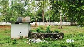 Angamaly thuravoor 3 acre 20 cent (karabhoomi) land for sale