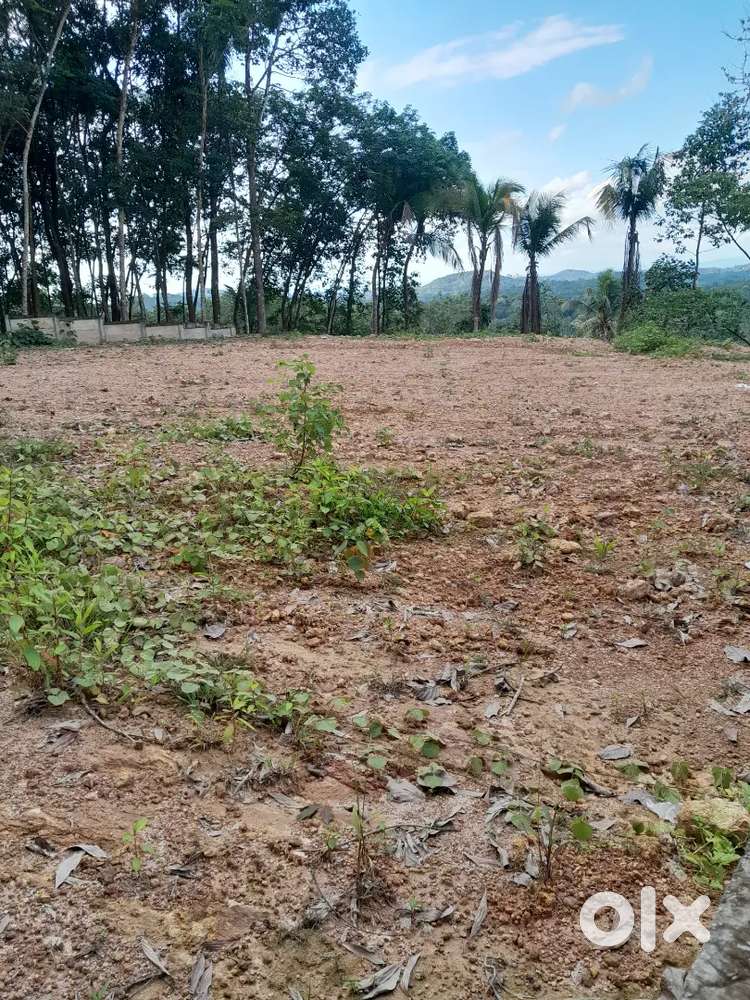 25 Cent at Adoor Peringanad