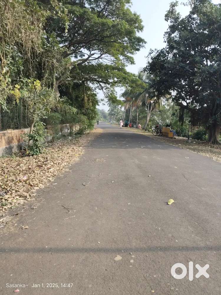 5 bigha 5 kata (106 kata jayga)