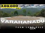 Resort farm sale